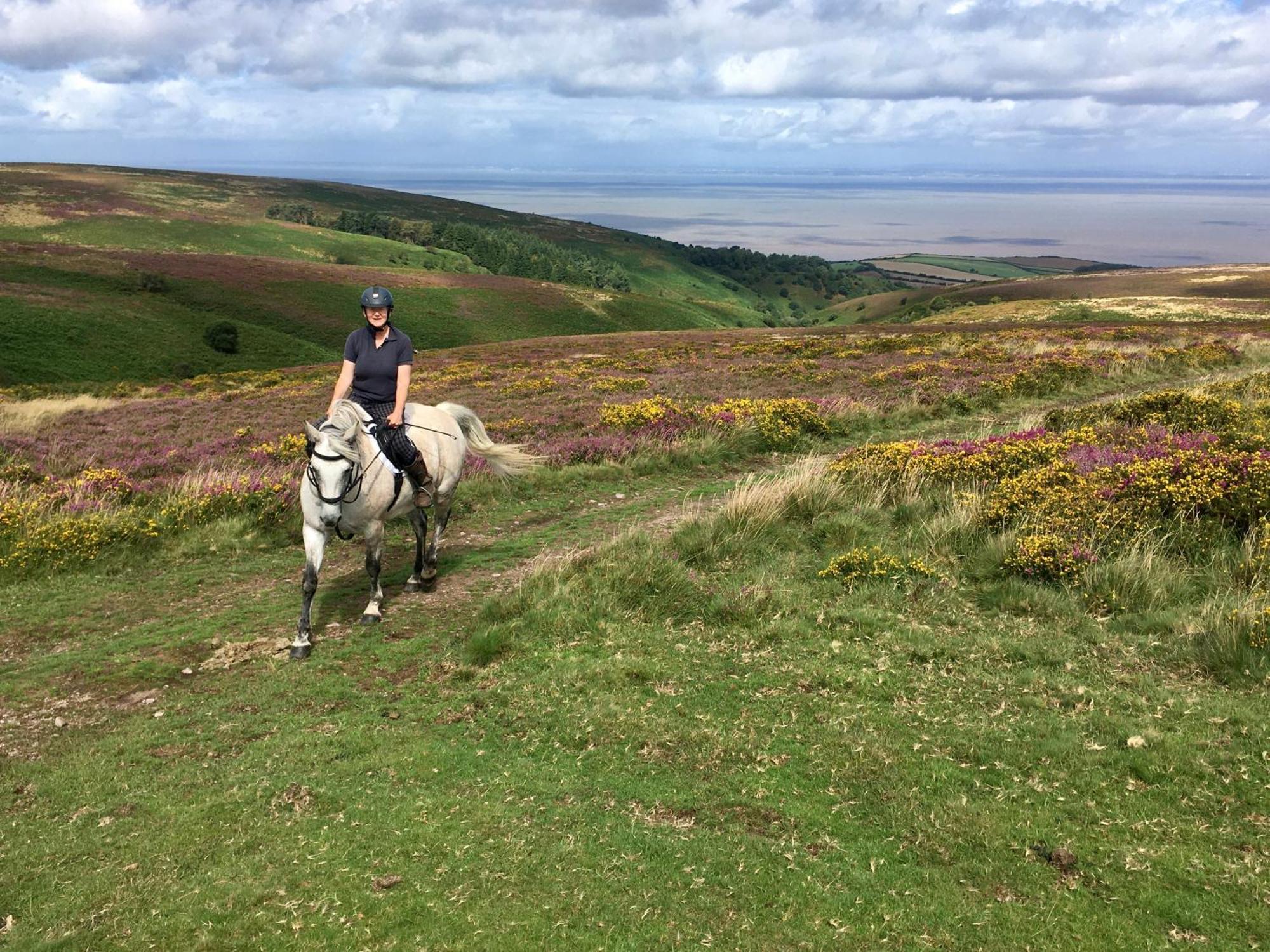 Pardlestone Farm B&B Kilve Luaran gambar