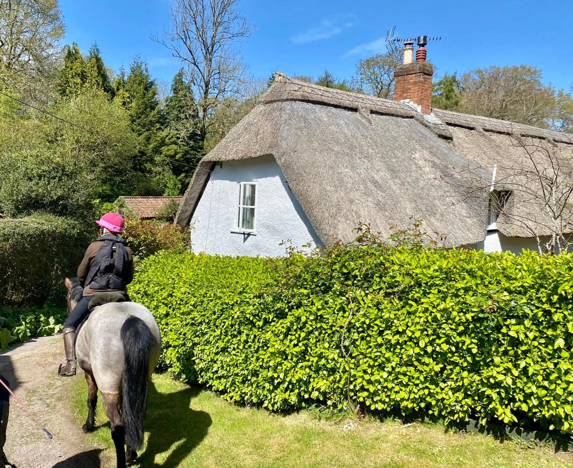 Pardlestone Farm B&B Kilve Luaran gambar