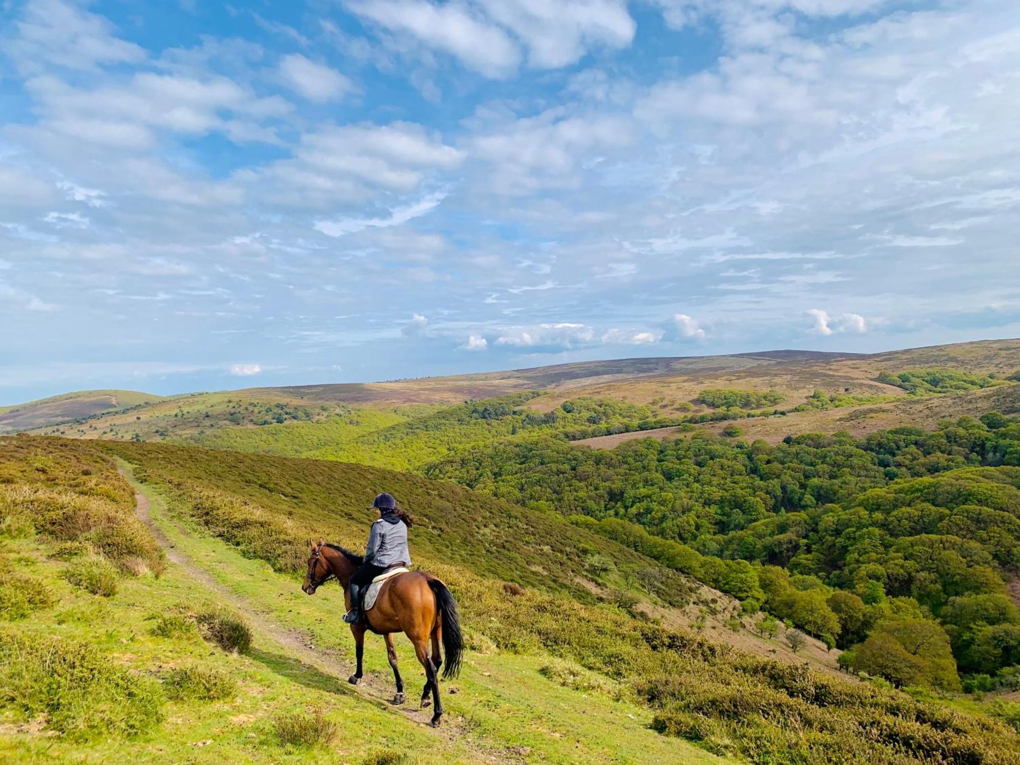 Pardlestone Farm B&B Kilve Luaran gambar