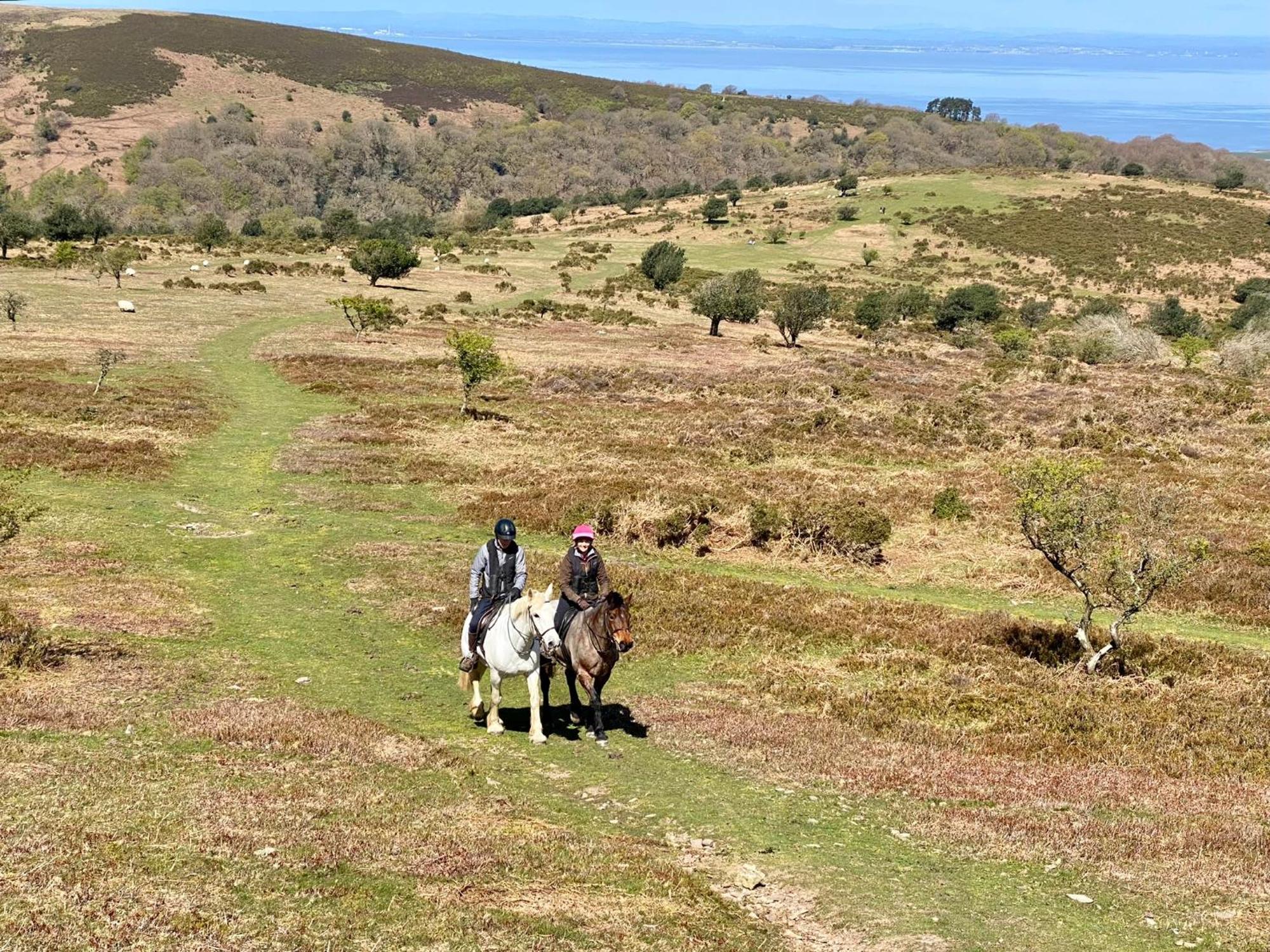 Pardlestone Farm B&B Kilve Luaran gambar