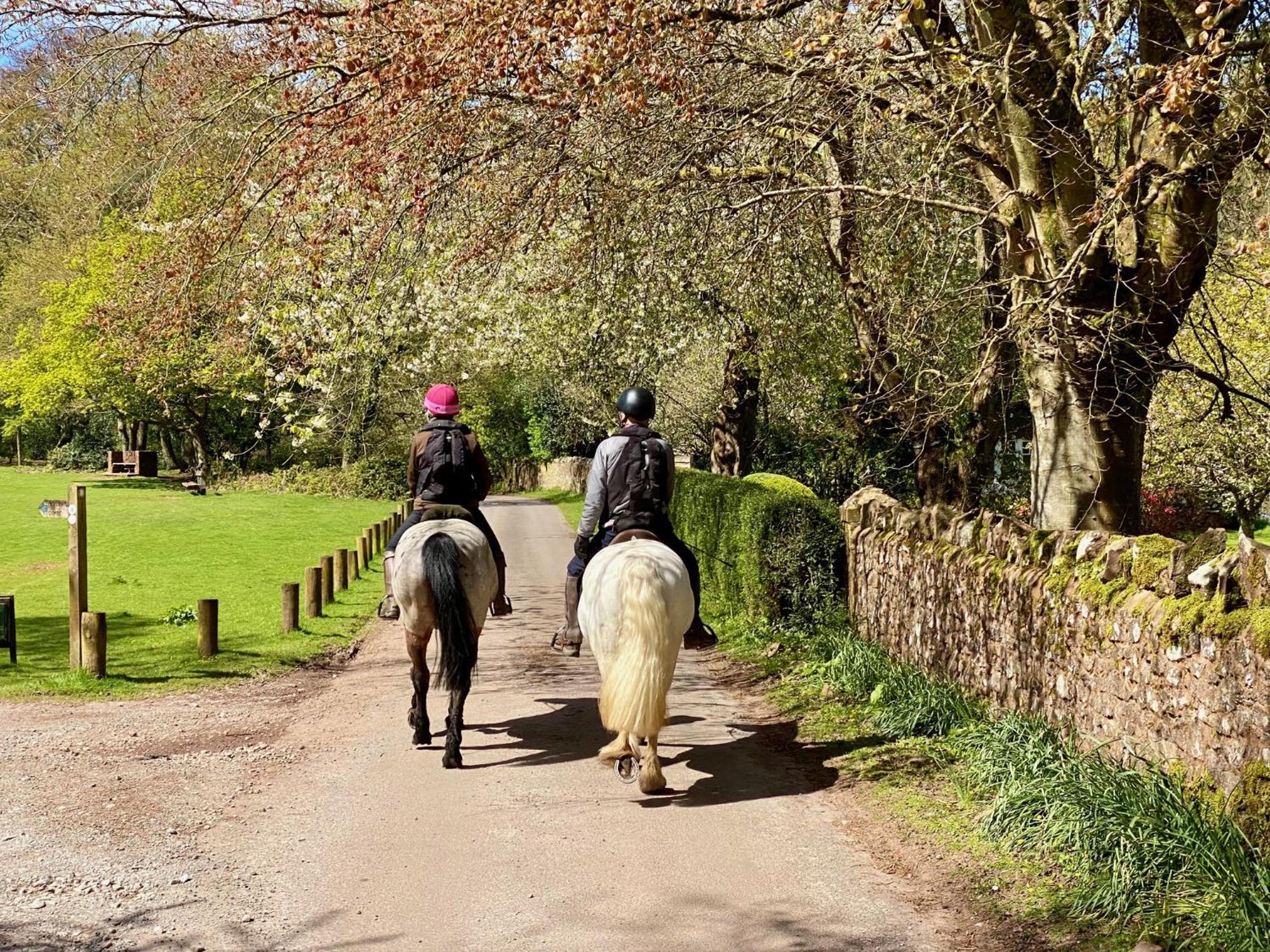 Pardlestone Farm B&B Kilve Luaran gambar