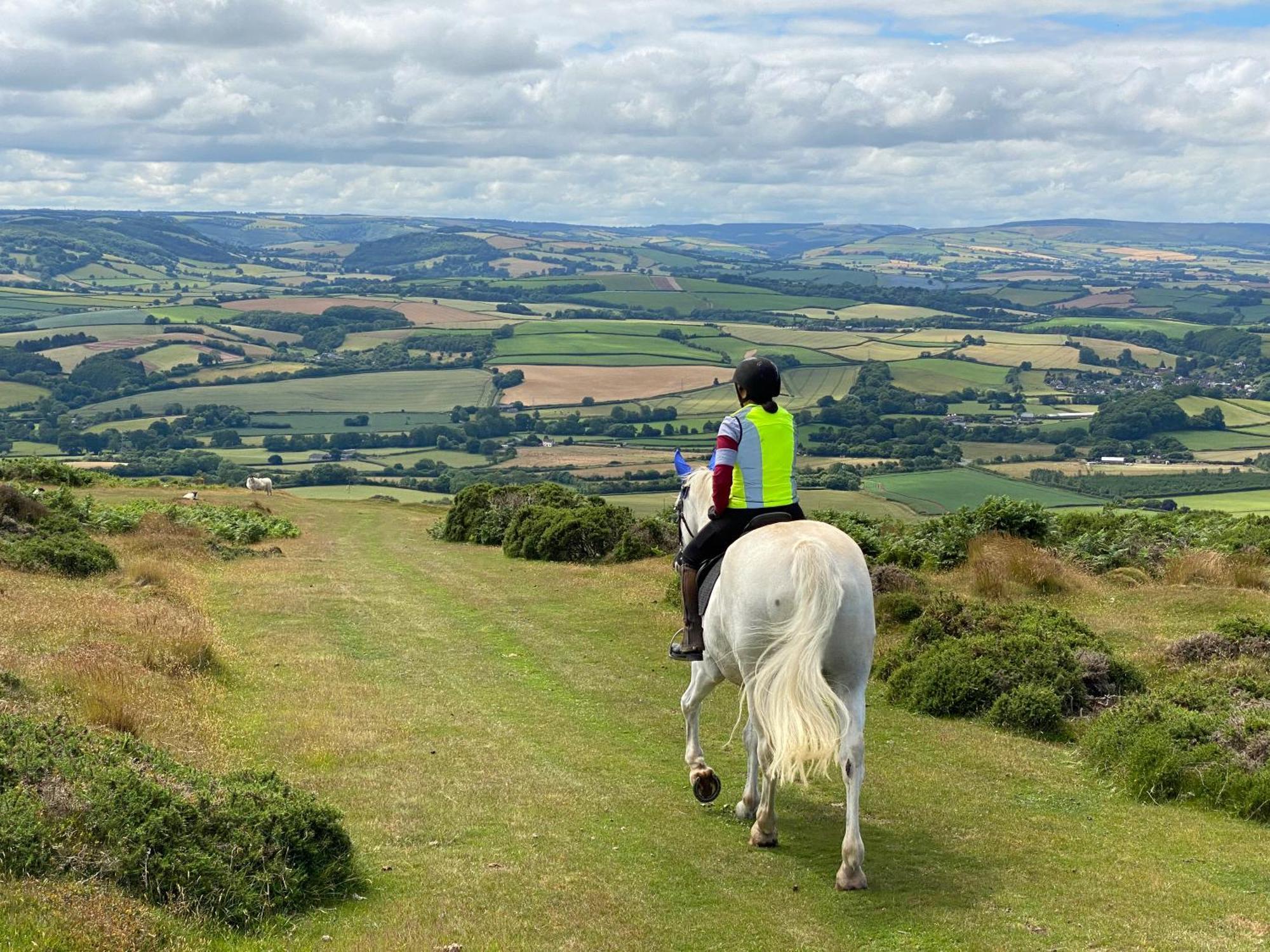 Pardlestone Farm B&B Kilve Luaran gambar