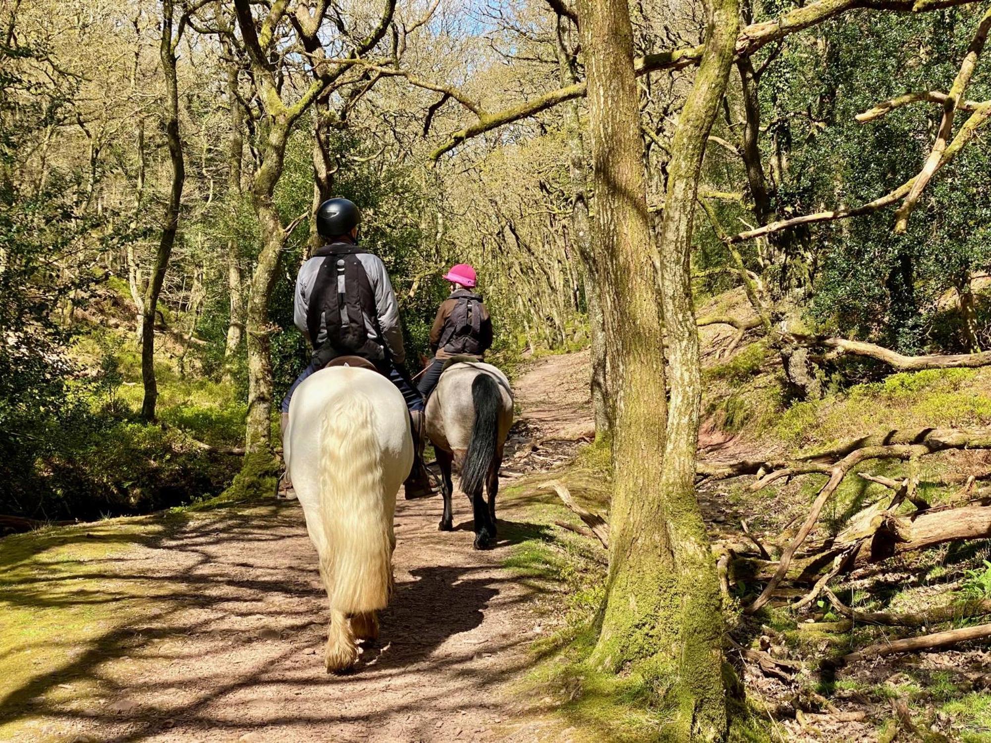 Pardlestone Farm B&B Kilve Luaran gambar