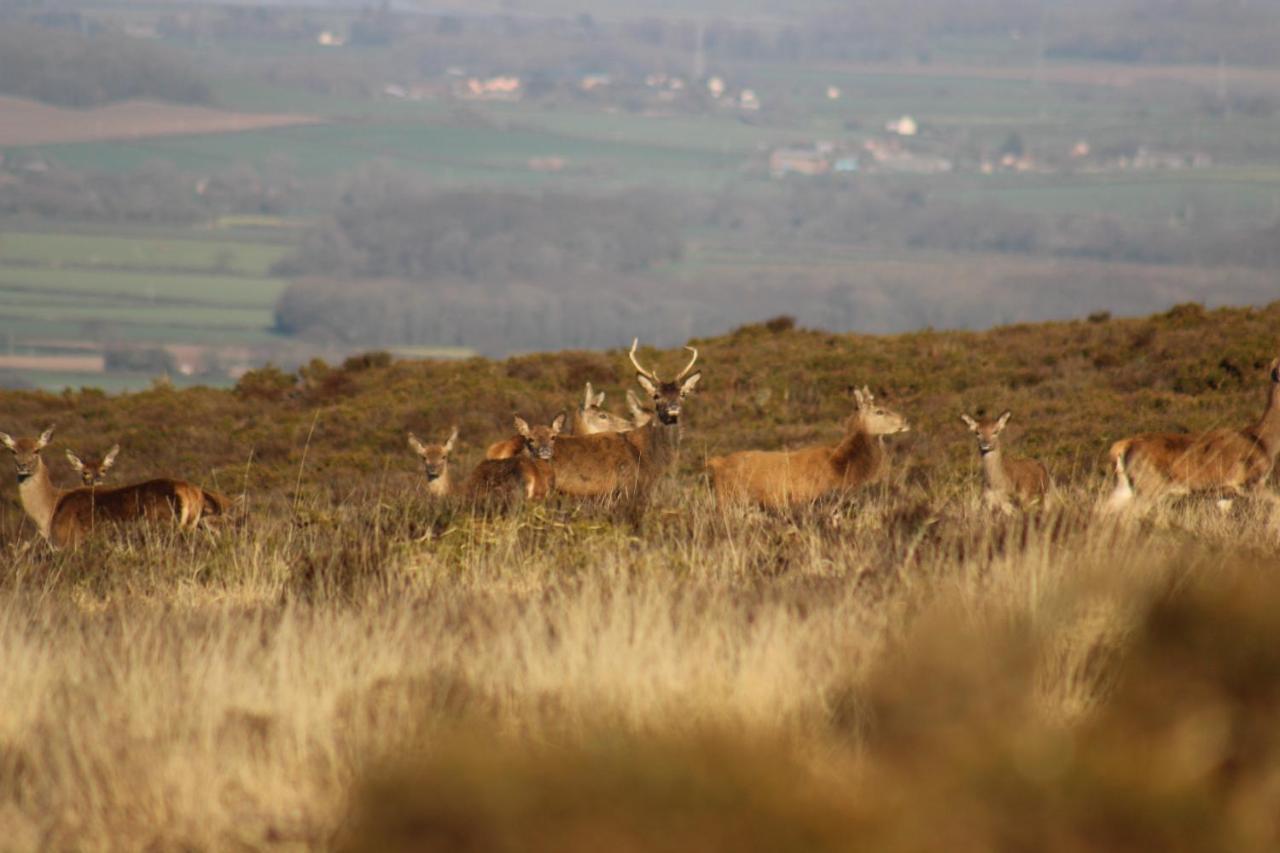 Pardlestone Farm B&B Kilve Luaran gambar