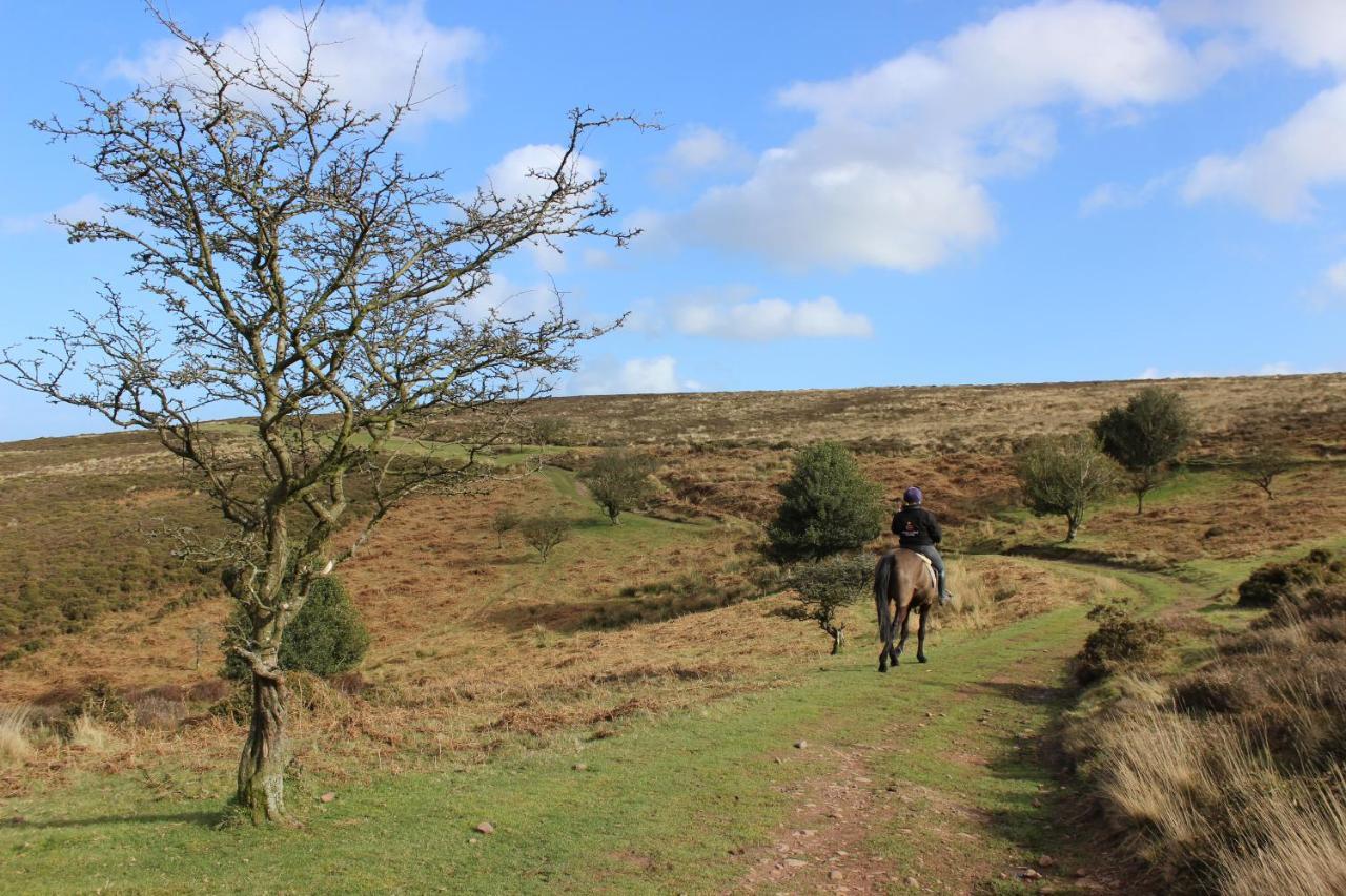 Pardlestone Farm B&B Kilve Luaran gambar